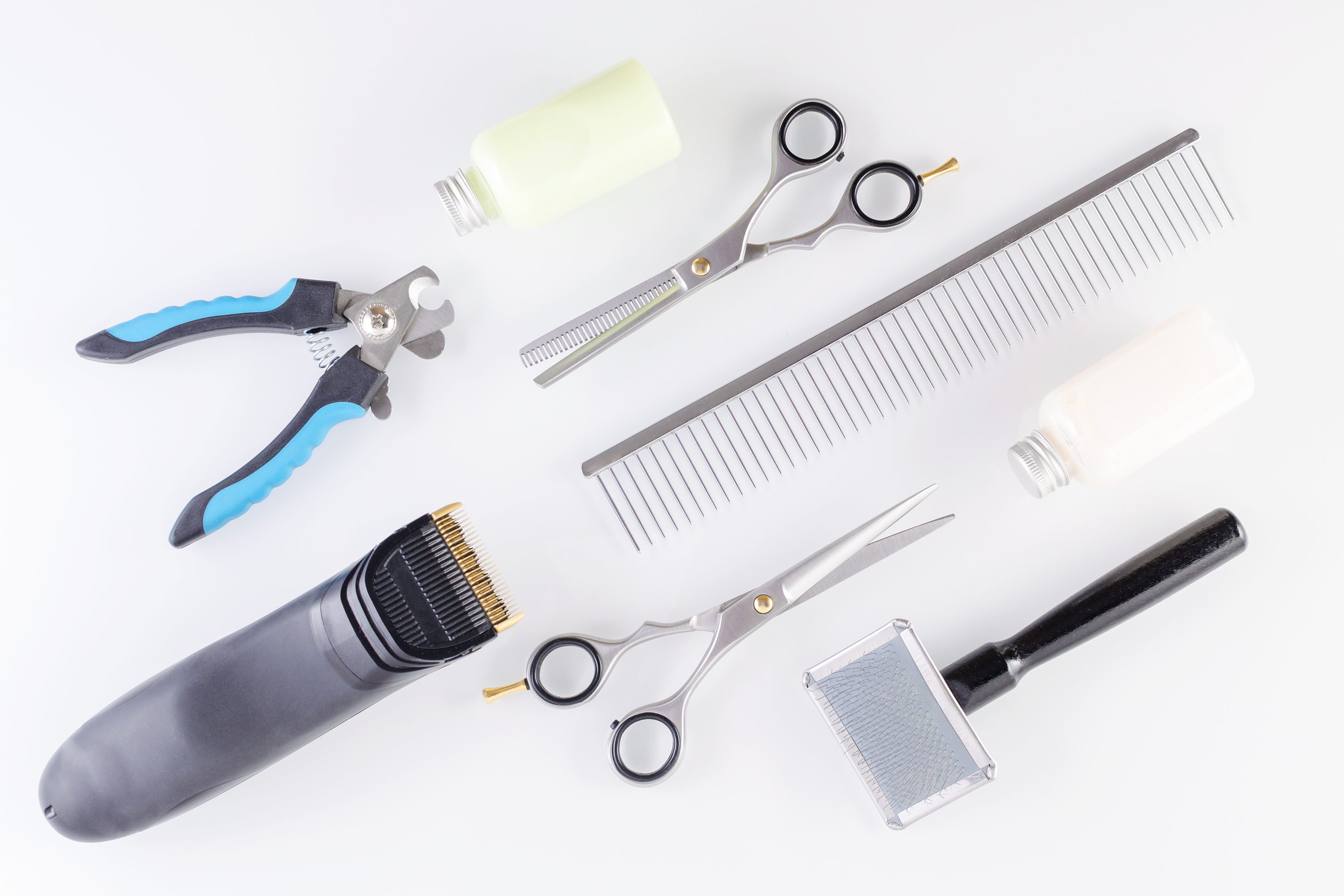 grooming equipment for animals, top view
